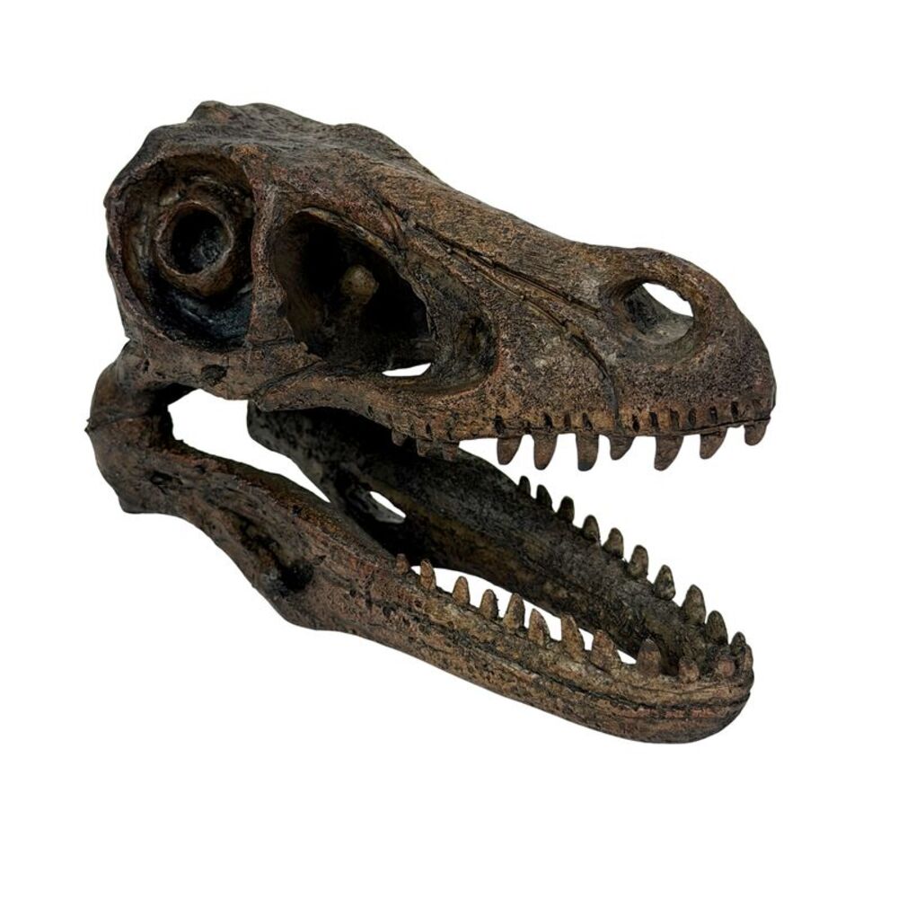 Velociraptor Statue Brown Resin Dinosaur Fossil Replica 7 Inch Decor